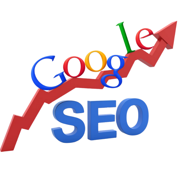 leading Organic ranking services - SEO company in Coimbatore
